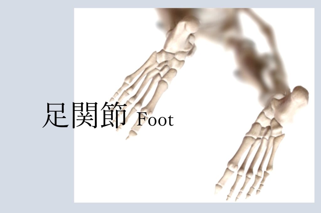 足関節 foot セミナー