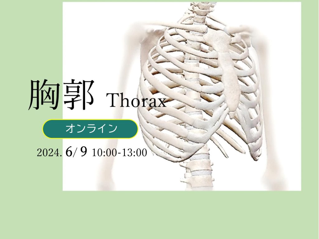 胸郭 thorax オンラインセミナー